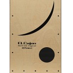☆電子カホン登場！！Roland EC-10☆ | DJ機材/PCDJ/電子ドラム