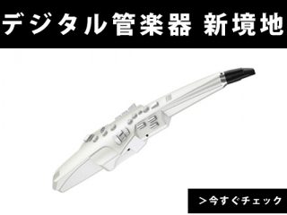 数量限定】最新デジタル管楽器 Roland Aerophone エアロフォン(AE-10