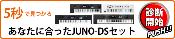 Roland JUNO-DS セット