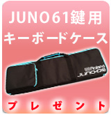 JUNO-DS61　キーボードケース