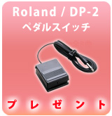 Roland　DP-2