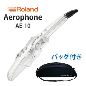 Roland(ローランド) / Aerophone (AE-10)