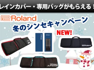 Roland SE-02 超美品 K-25M 専用カバー付き Roland Boutiqueシリーズ専用キーボードK-25m！！