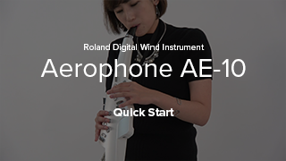 デジタル管楽器　Roland Aerophone　エアロフォン　AE-10　AE-10G　グラファイト・ブラック