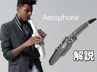 Amazon | Roland Aerophone AE-10G Graphite Black