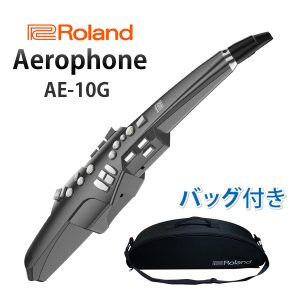 Roland(ローランド) / Aerophone グラファイト・ブラック (AE-10G) エアロフォン / ウィンド・シンセサイザー