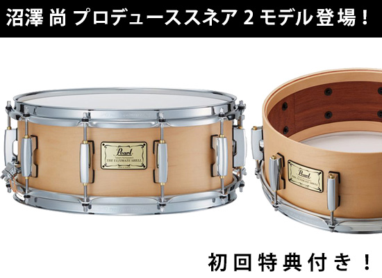 正規品 パールスネア Pearl Standard メイプル単板14×5.5 - Maple(沼澤